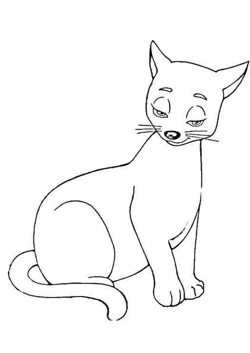 Раскраска Кошеня
