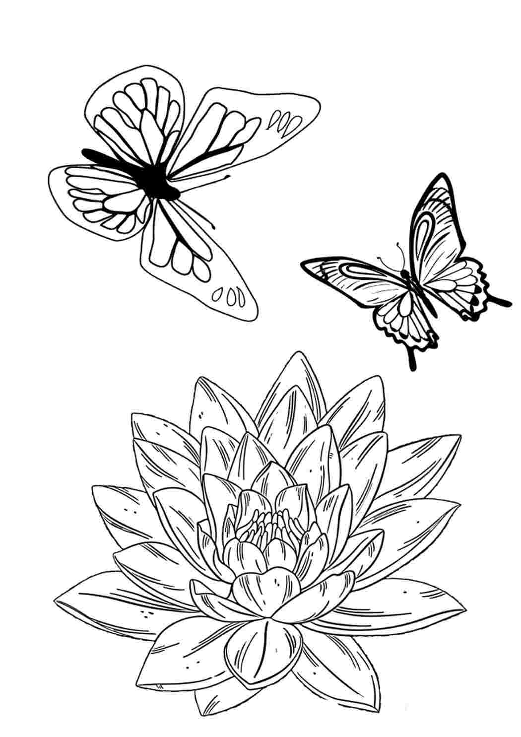 Раскраска Гарні розмальовки Гарне зображення