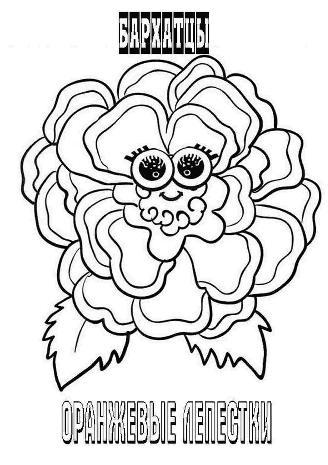 Раскраска Нагідки