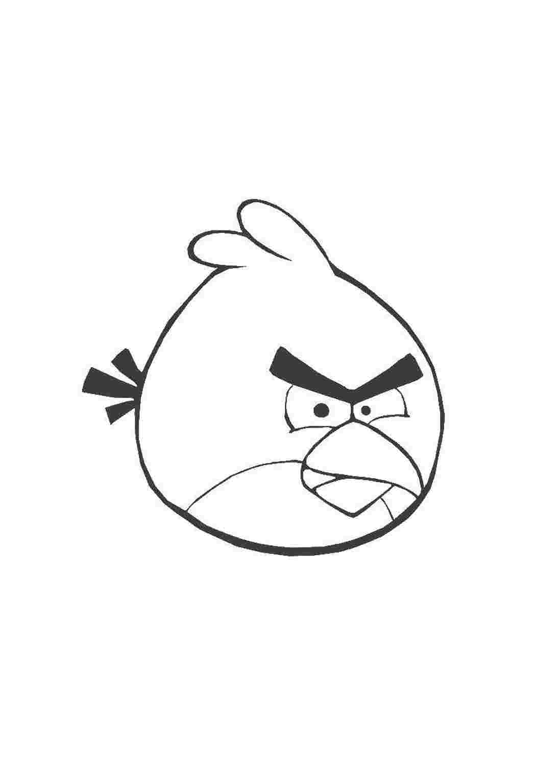 Раскраска Пташка з Angry Birds
