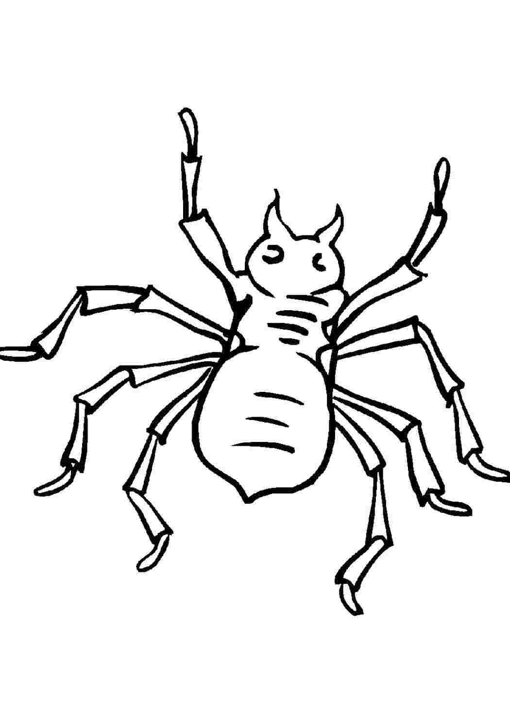 Раскраска Розфарбування павук