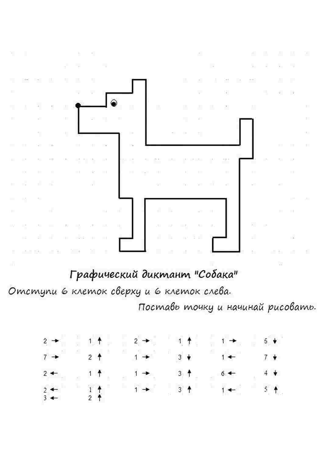 Раскраска Графічний диктант собака