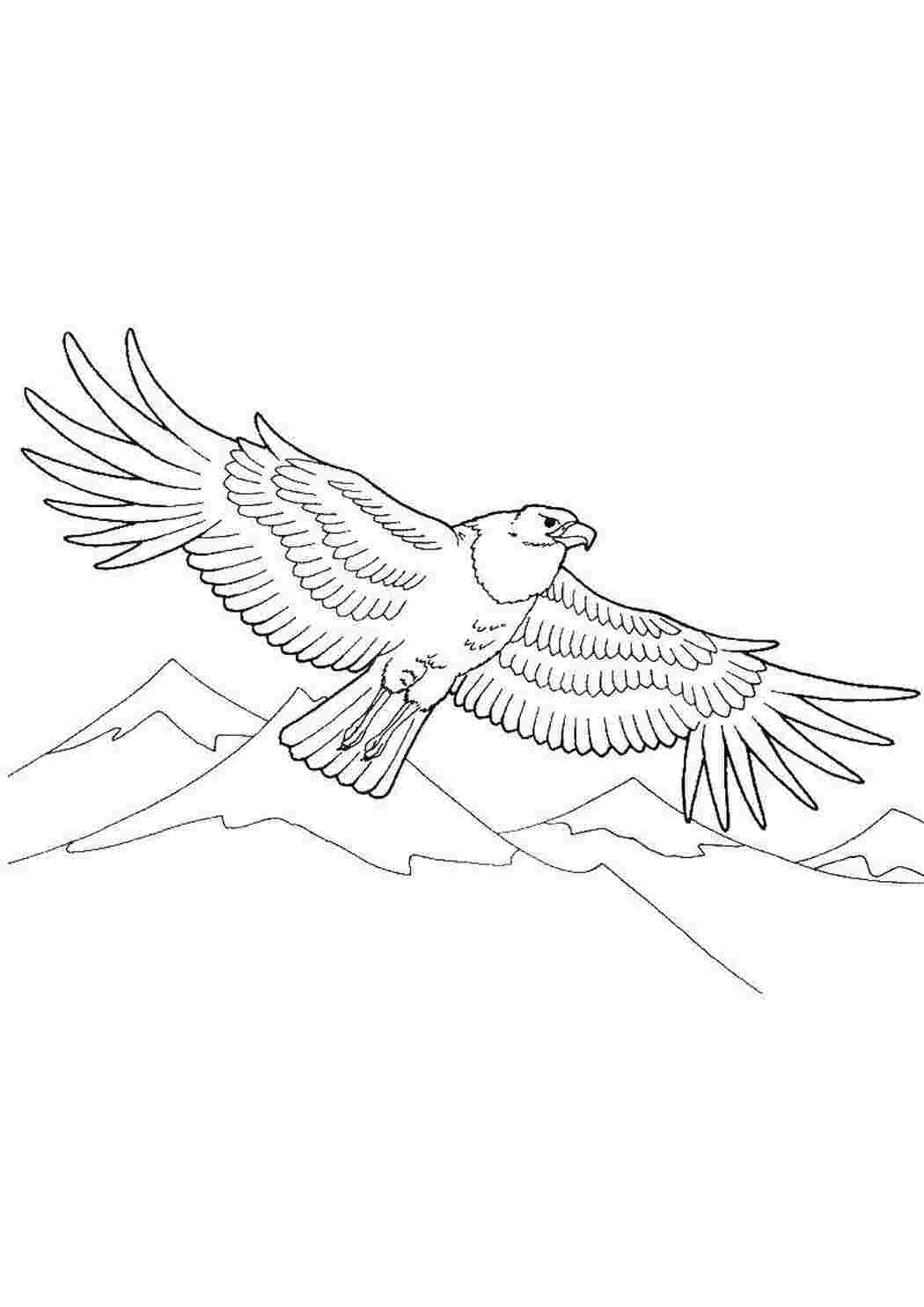 Раскраска 