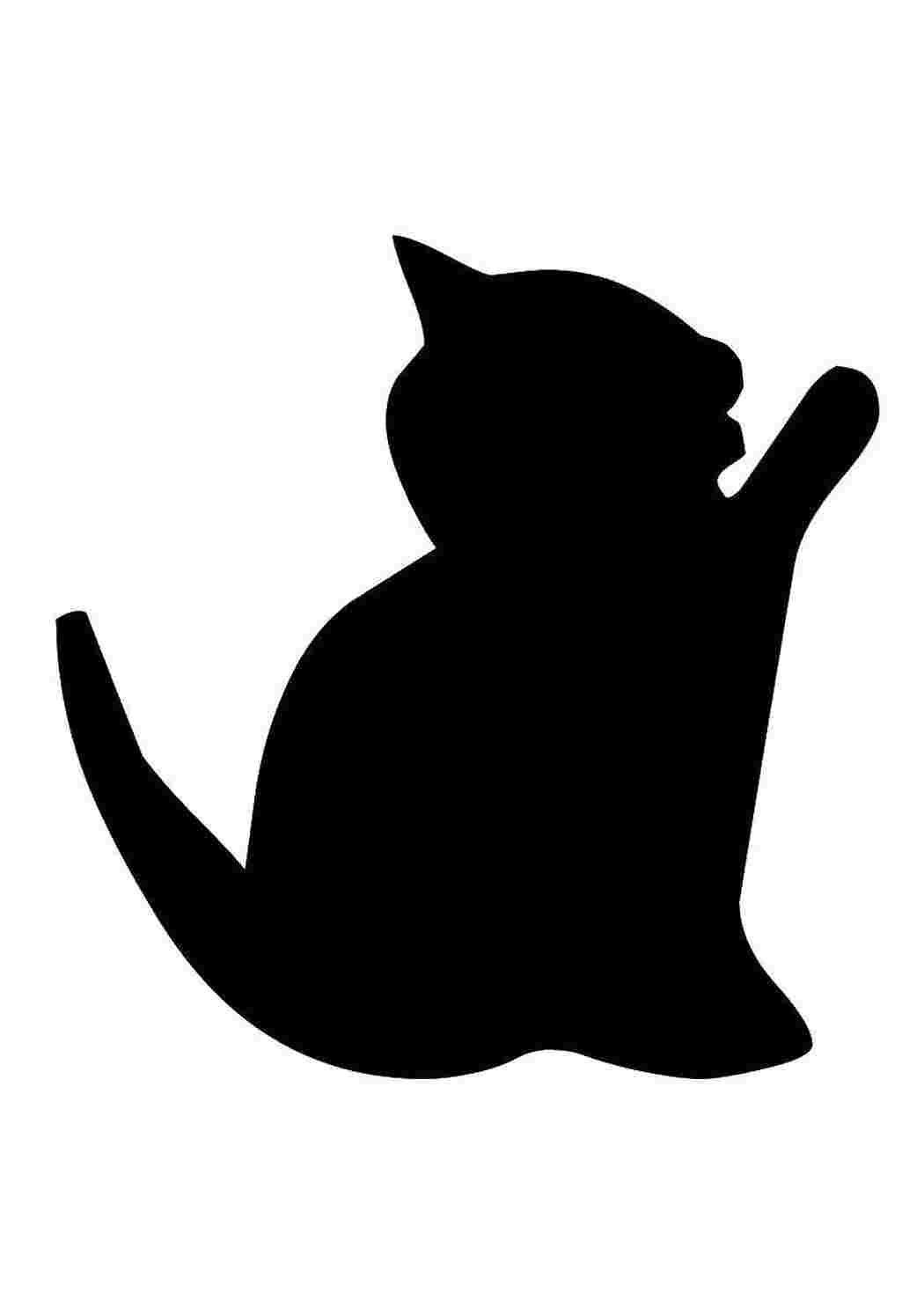Раскраска Контур кошки