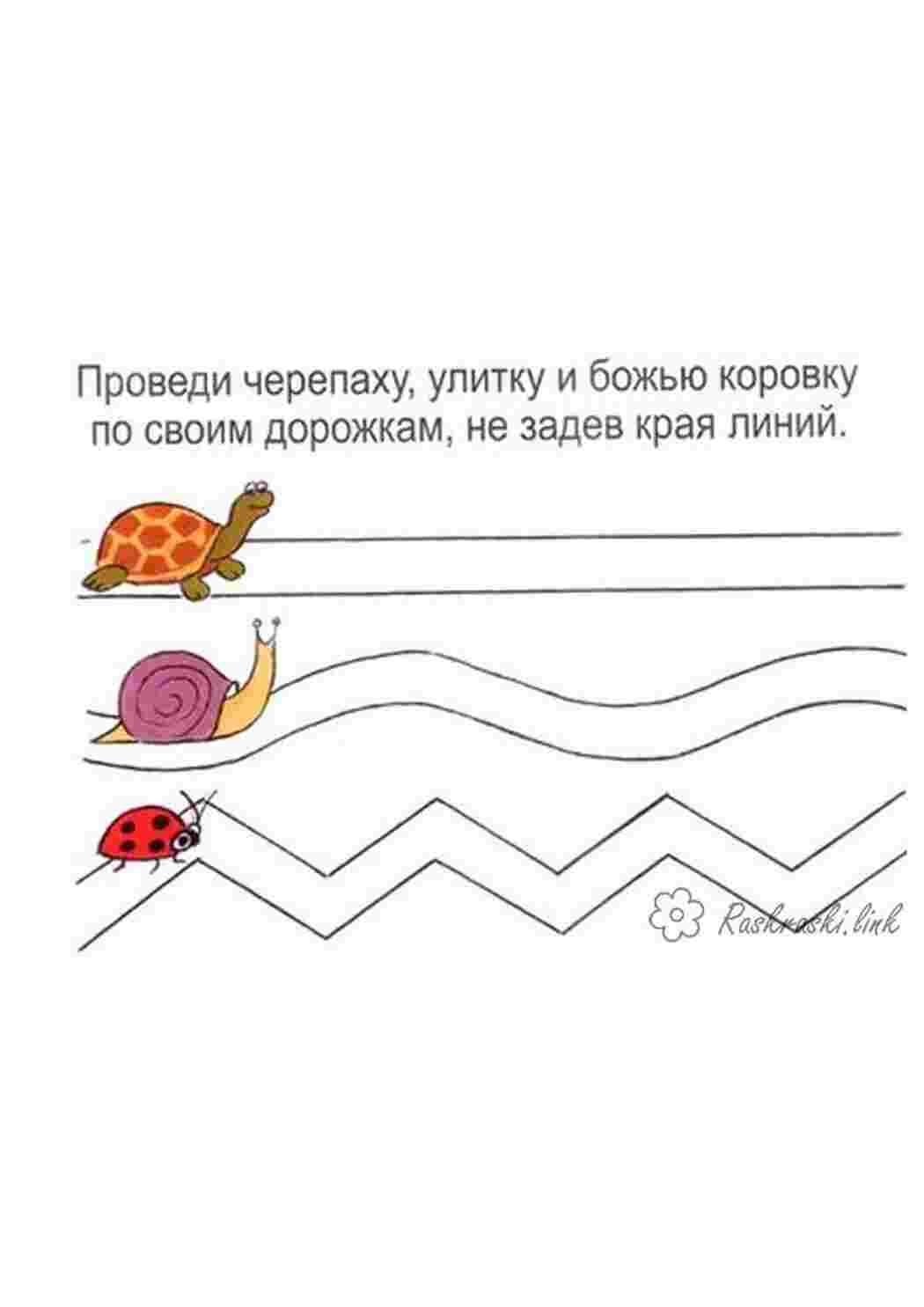 Раскраска 