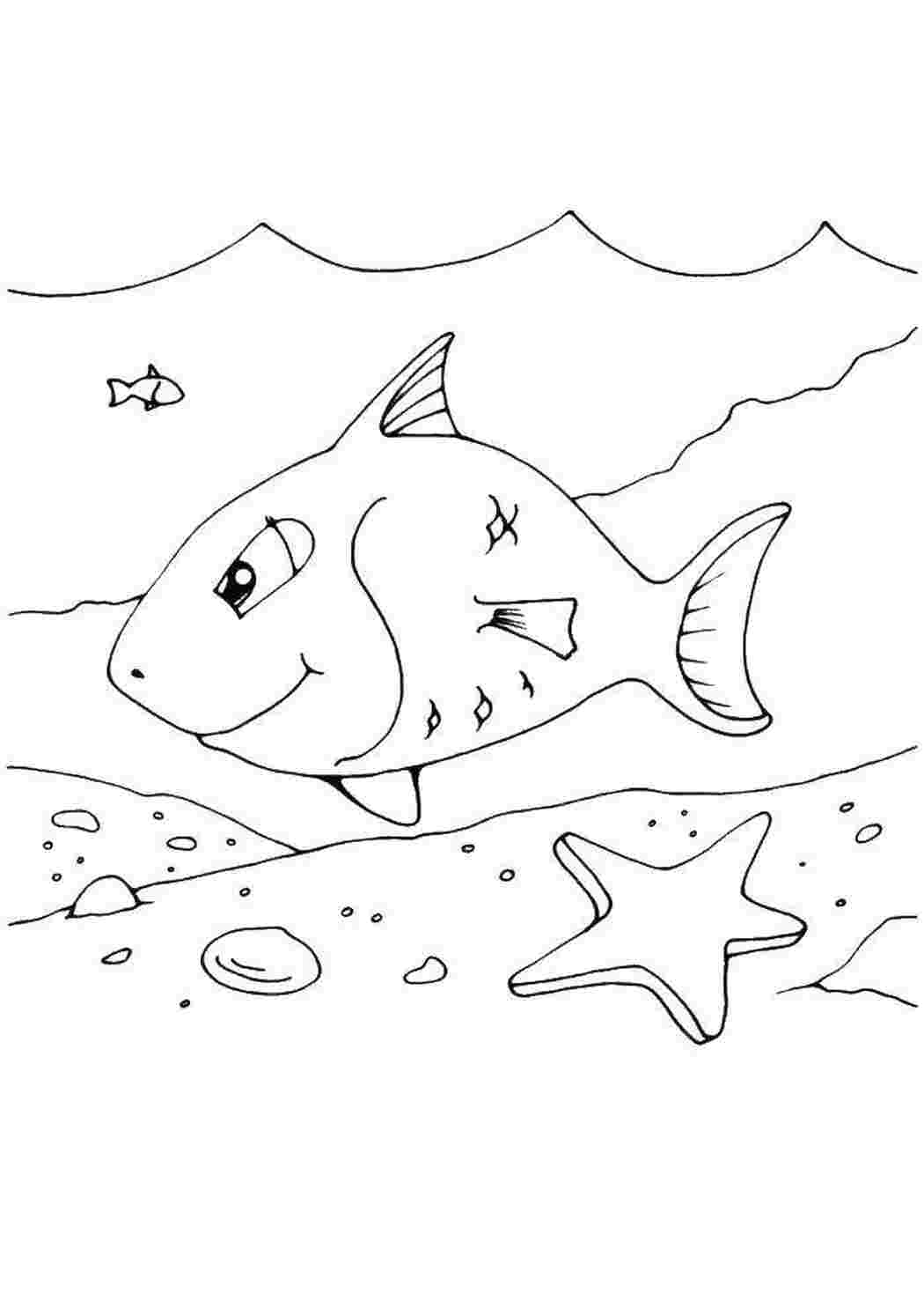 Раскраска Риба і морська зірка