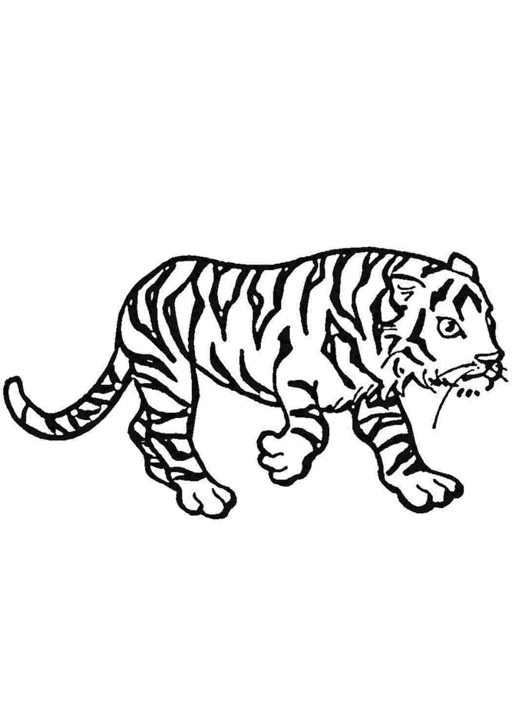 Раскраска 