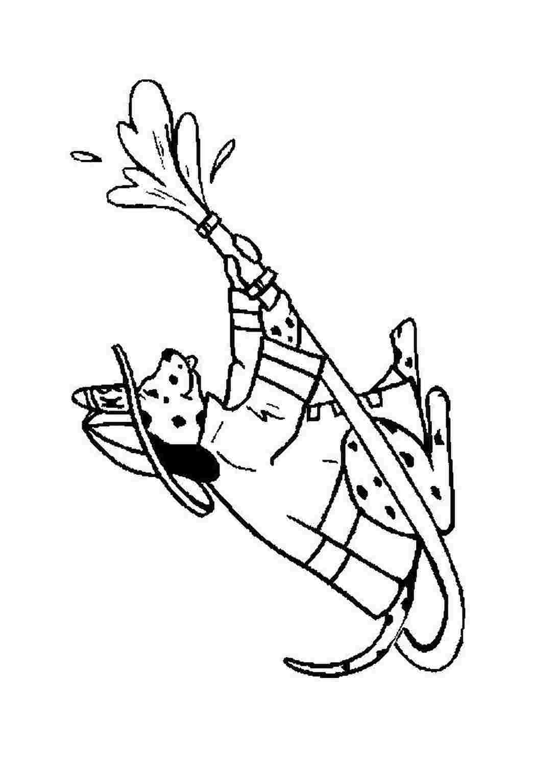 Раскраска Далмаціанець пожежник