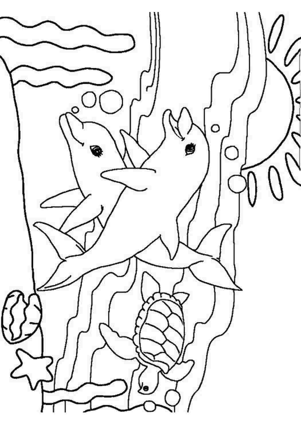 Раскраска Дельфіни та черепашка