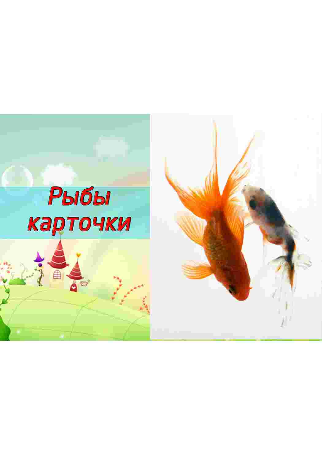 Раскраска картки з рибами