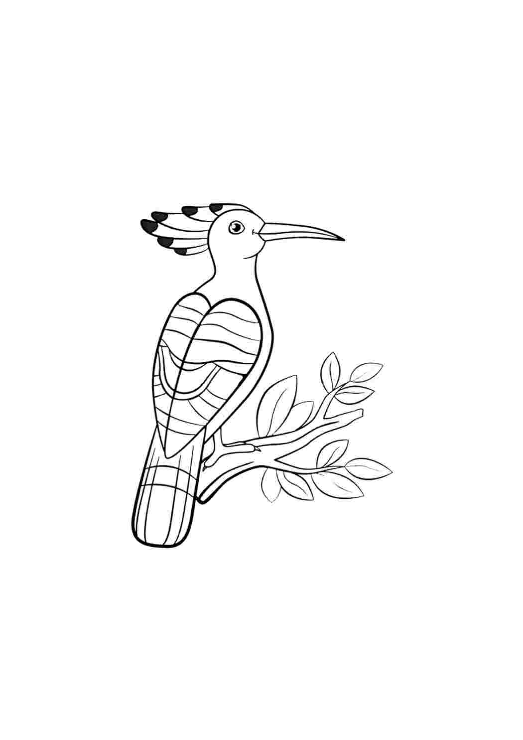 Раскраска Гарні розмальовки Попугайчик розмальовка для малюків