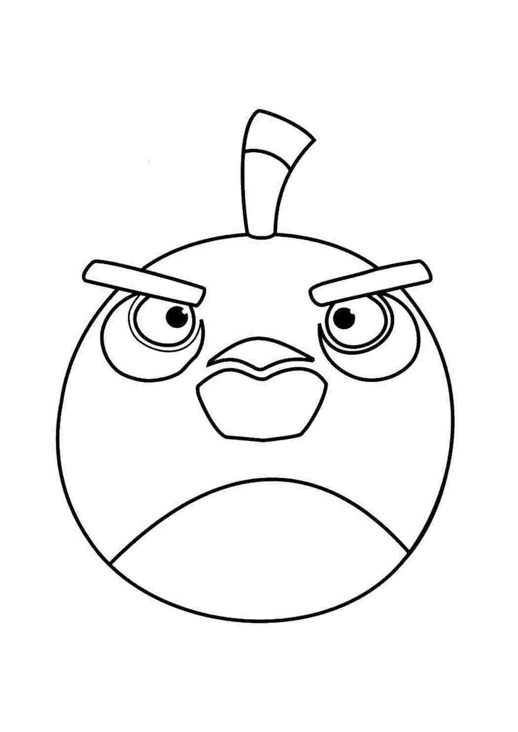 Раскраска Пташка з Angry Birds