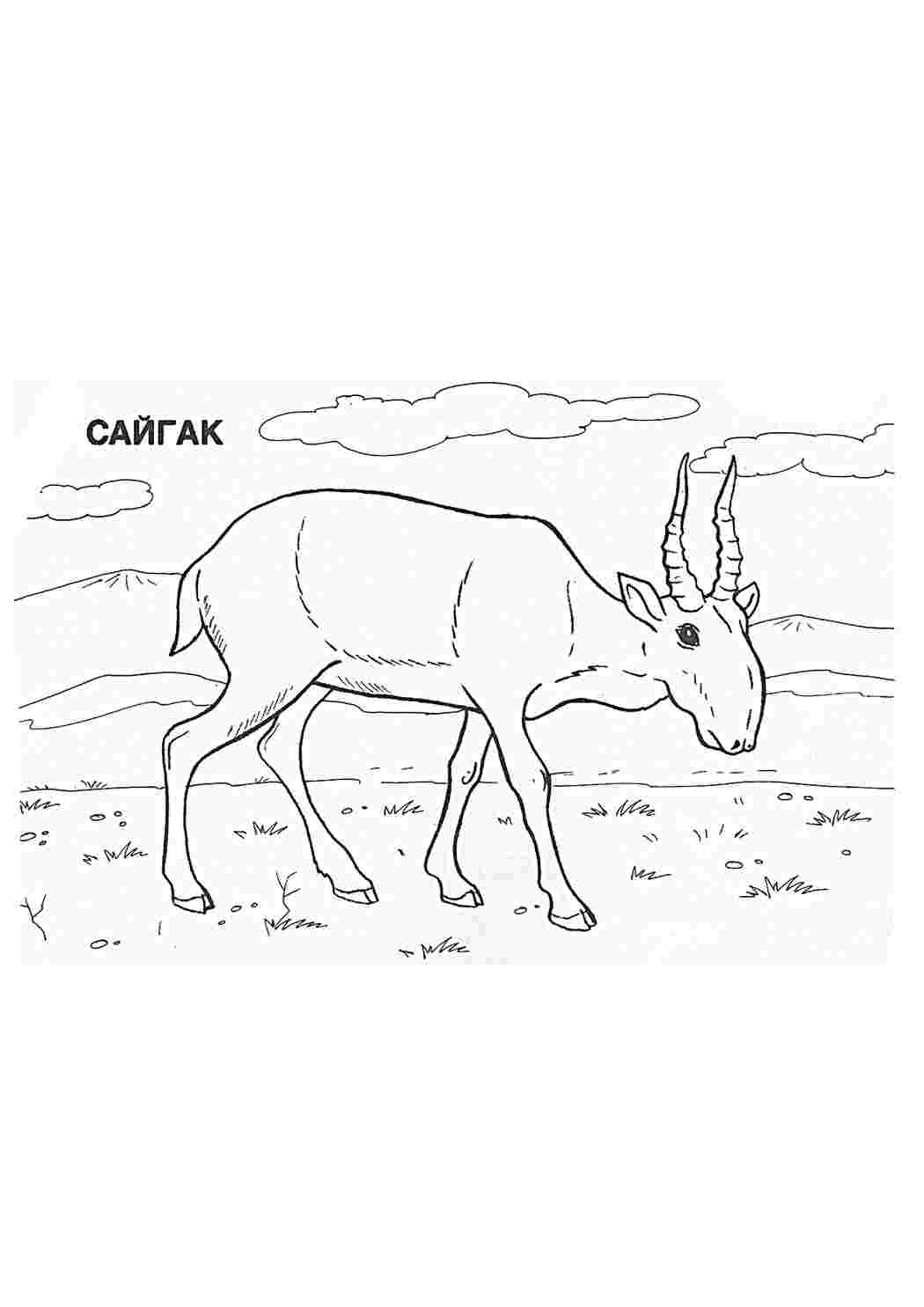 Раскраска Наука Географія