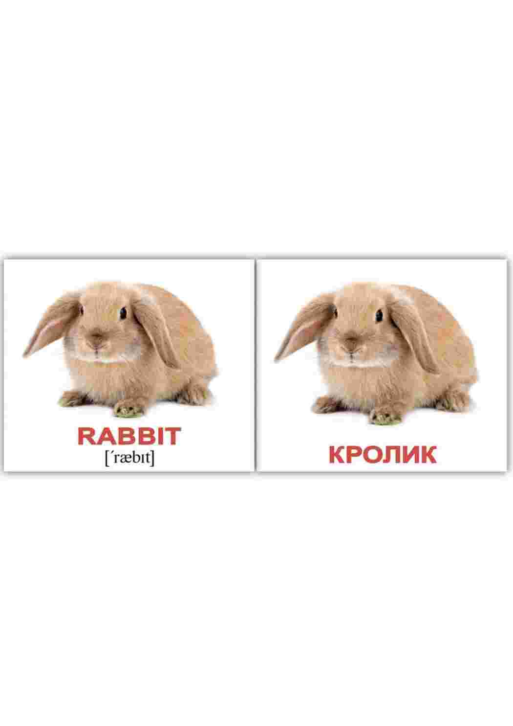 Раскраска картки з домашніми тваринами