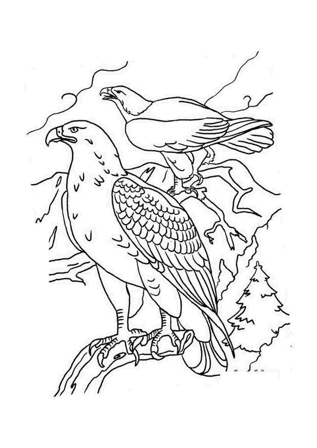 Раскраска зображення на робочий стіл онлайн