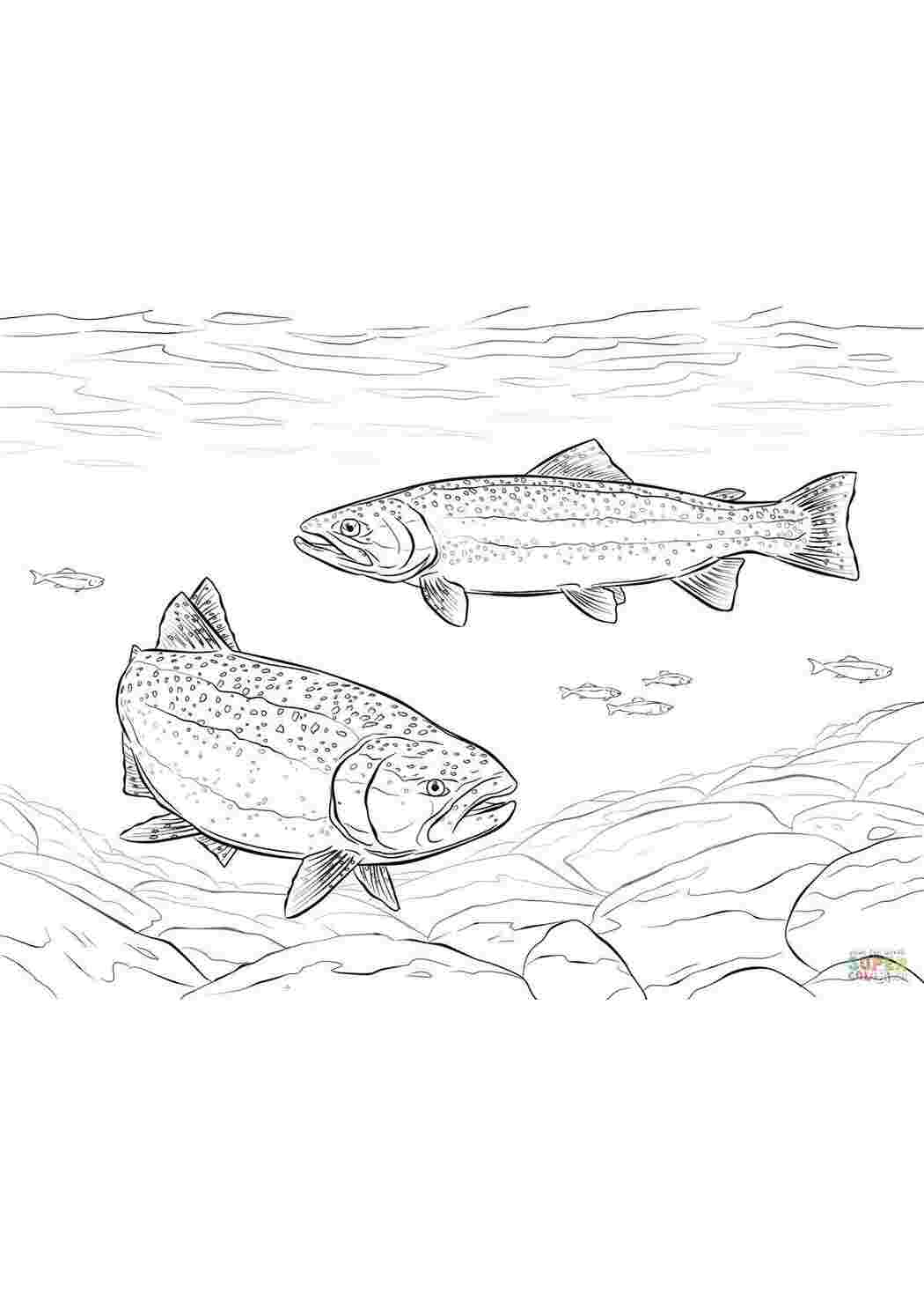 Раскраска Рибки в морі