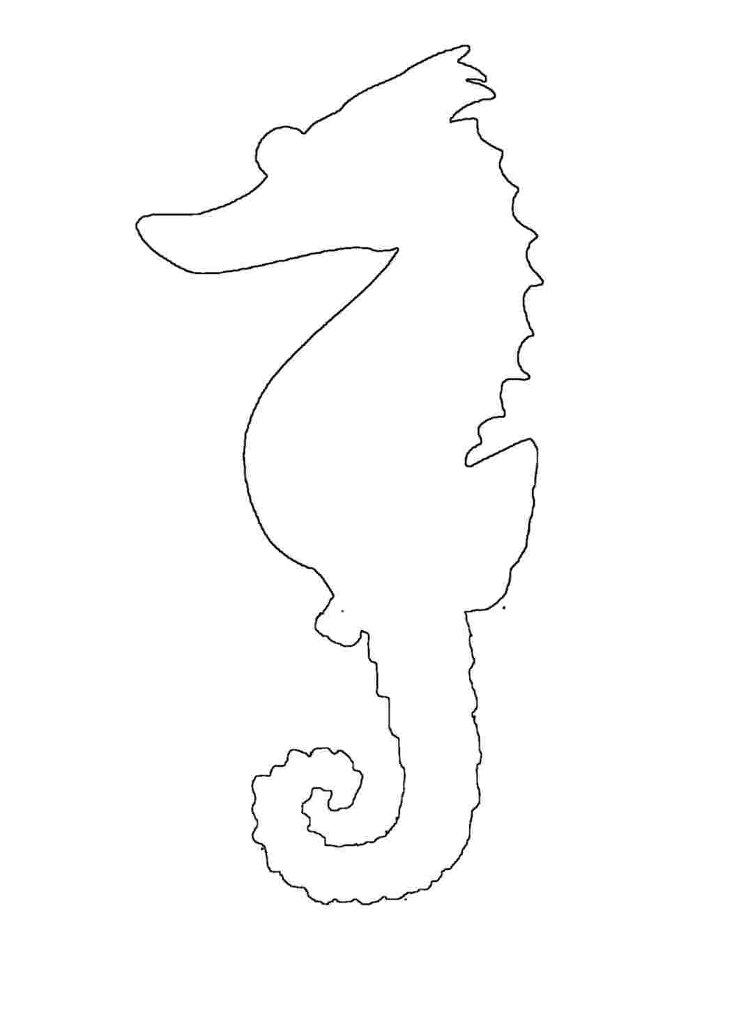 Раскраска морський кінь