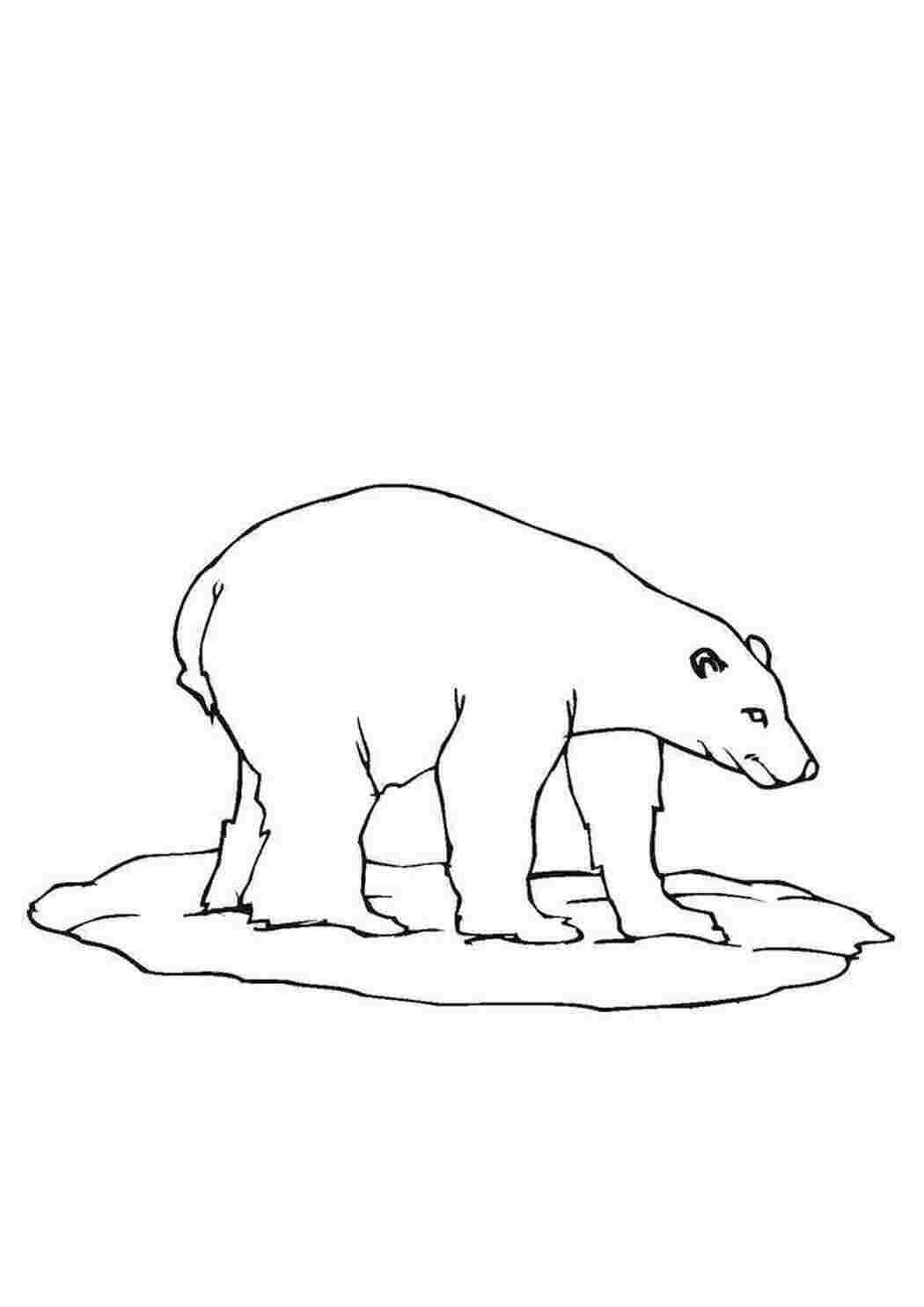 Раскраска Зима