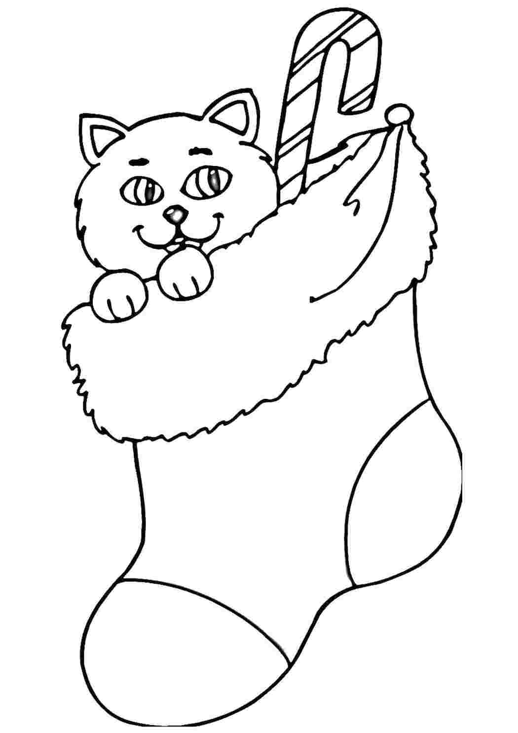 Раскраска Котик у шкарпетці