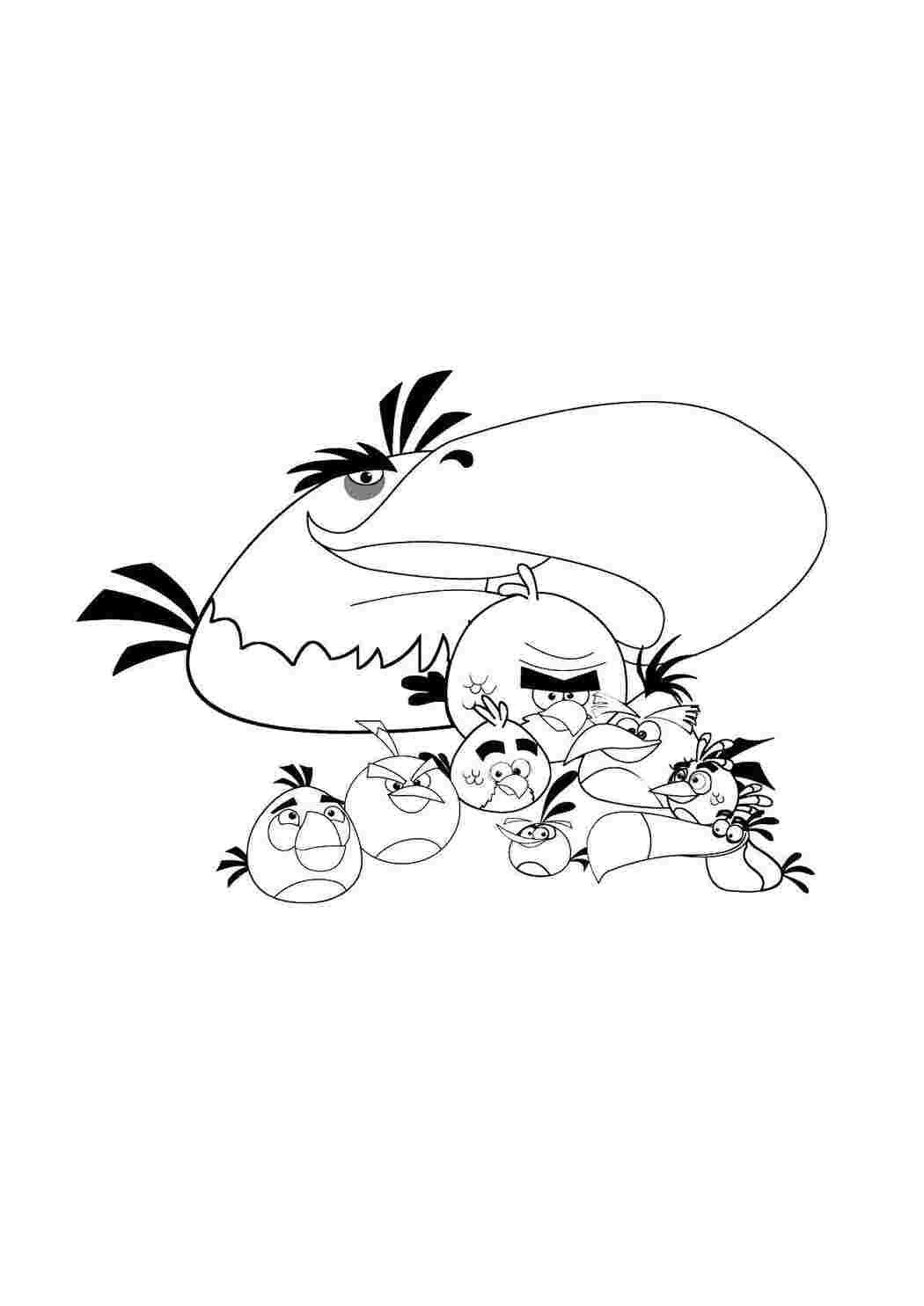 Раскраска Папуга та птахи з Angry Birds
