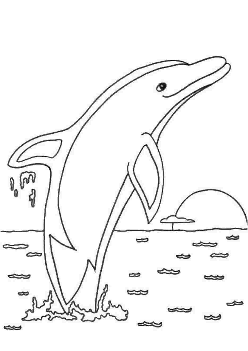 Раскраска Дельфін у воді