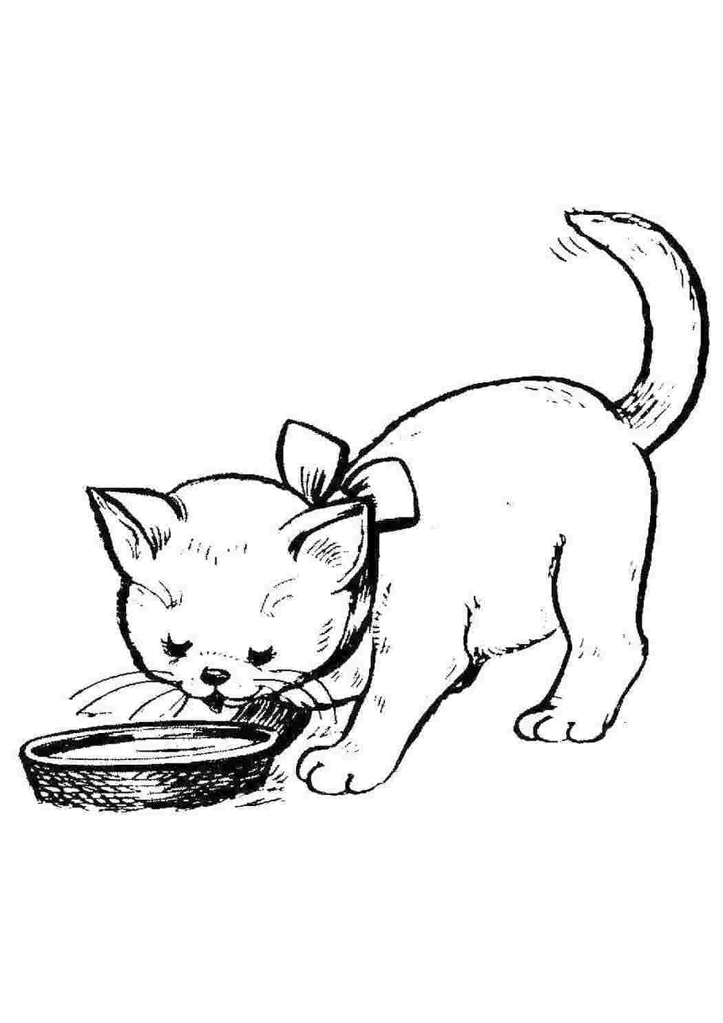 Раскраска Кошечка Марі
