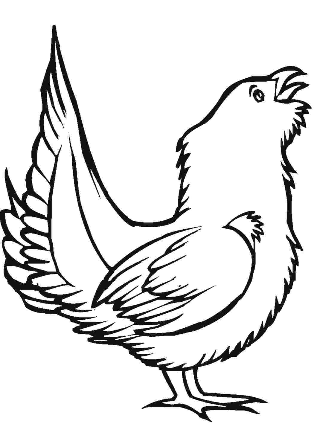 Раскраска 
