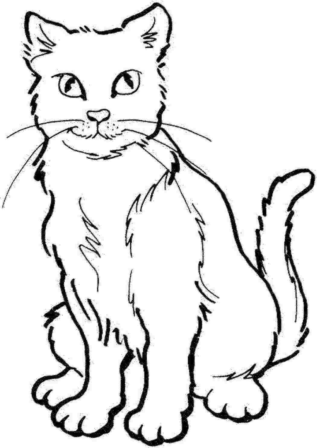 Раскраска Котик