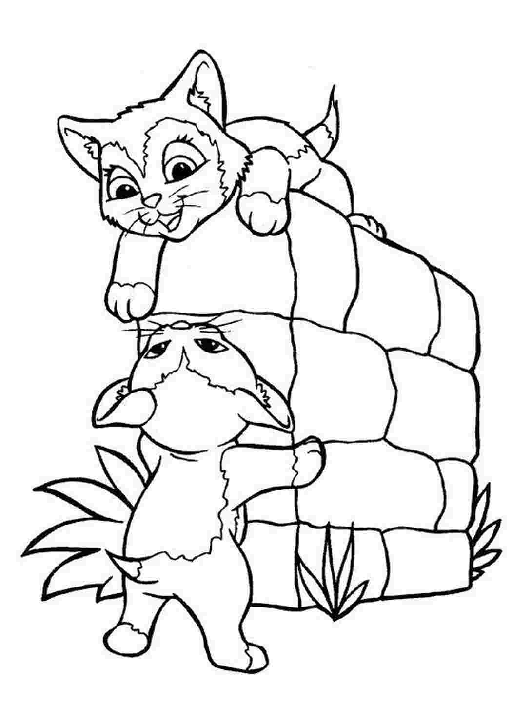 Раскраска Ігри кошенят