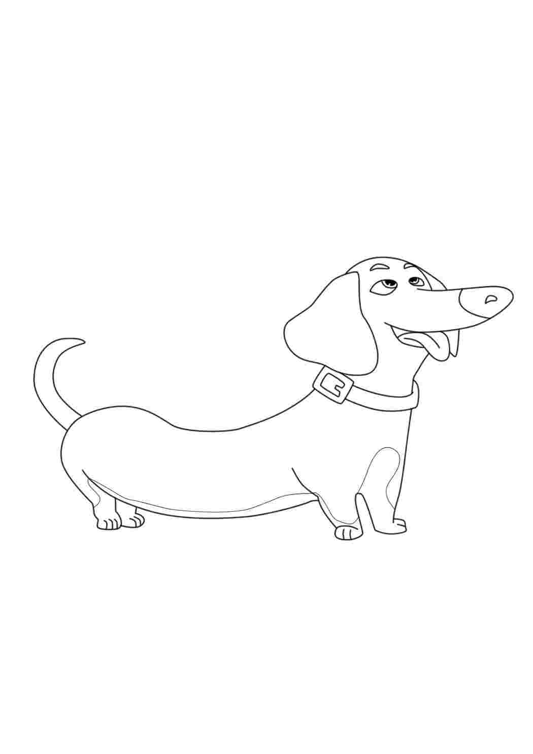 Раскраска Розфарбовки з тваринами для дівчаток