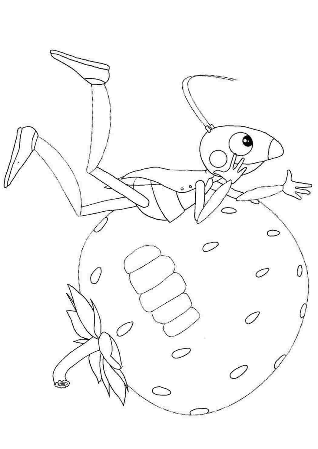 Раскраска Мурашка на ягоді
