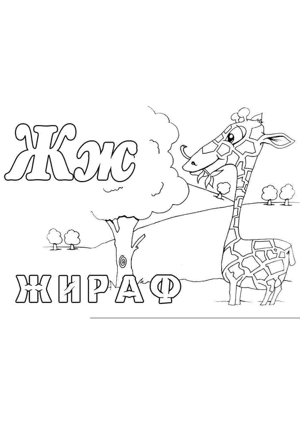 Раскраска Розфарбунки Зоопарк Літера Ж Жирафа