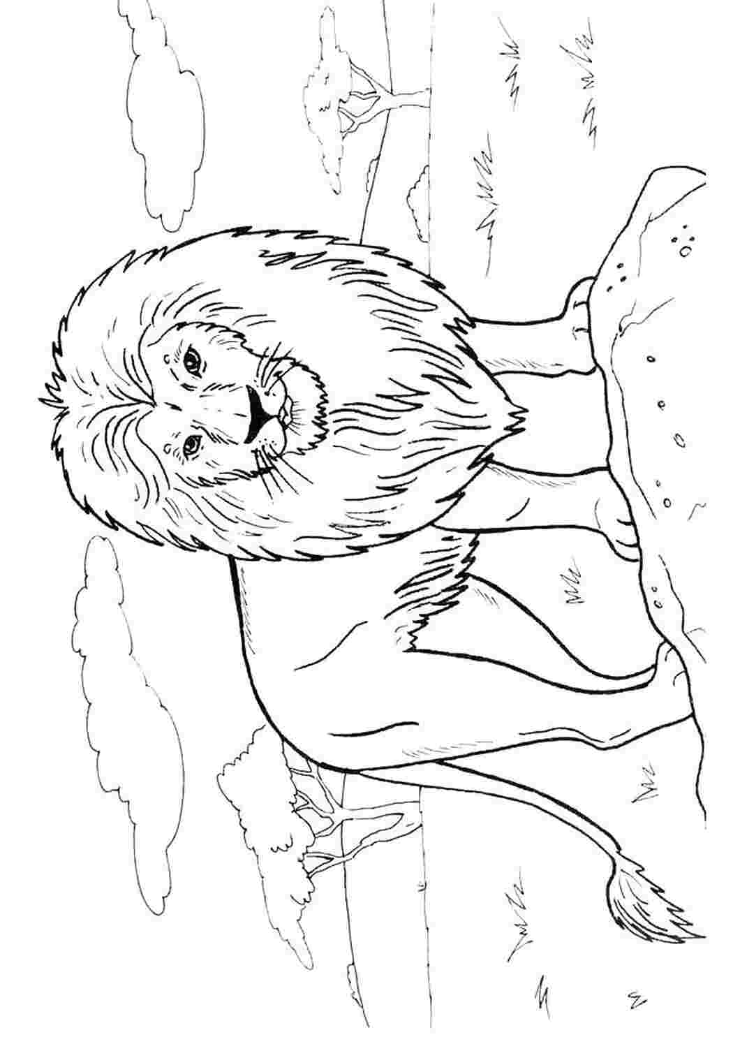 Раскраска страшен лев