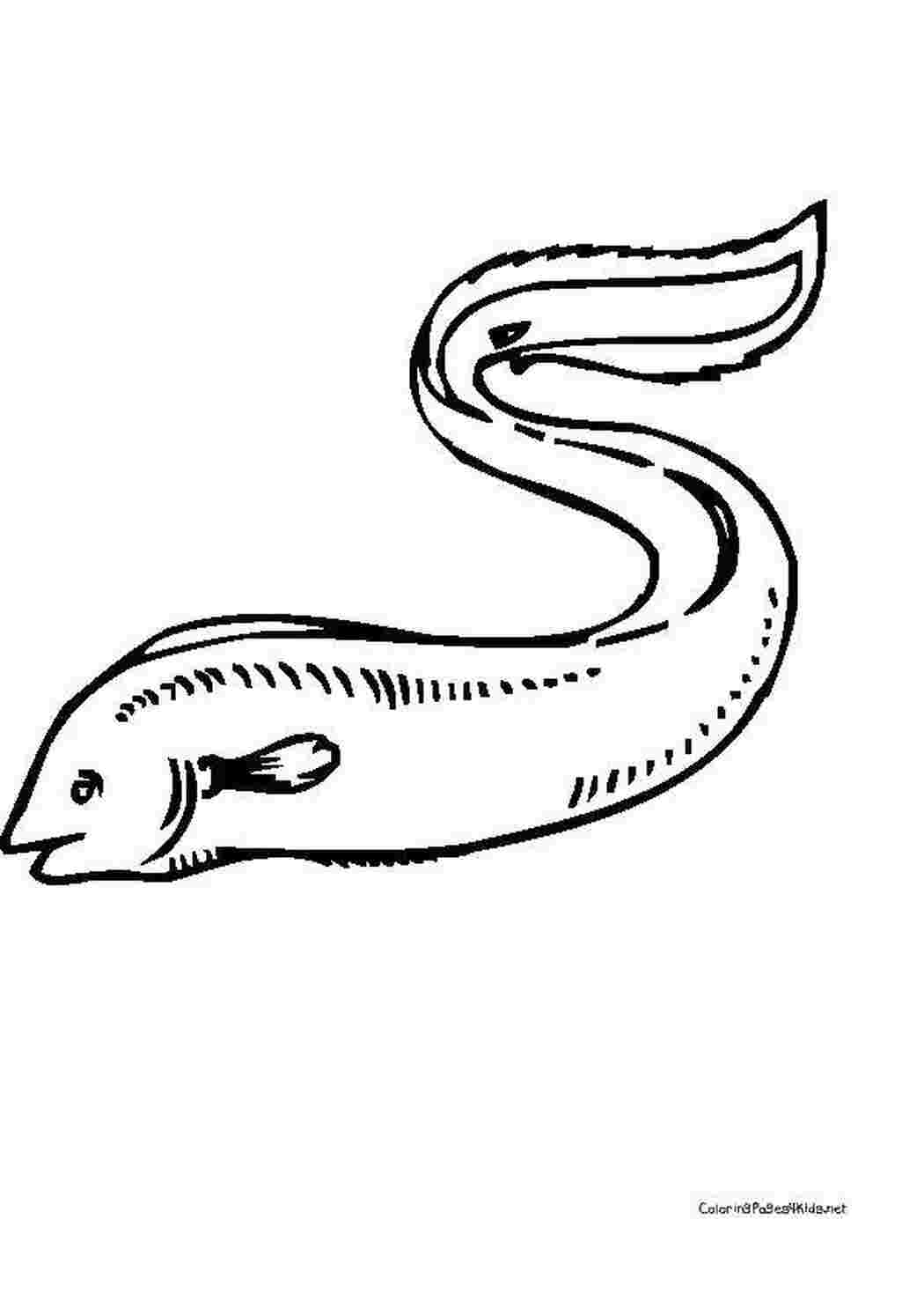 Раскраска Плаваючий морський черв як