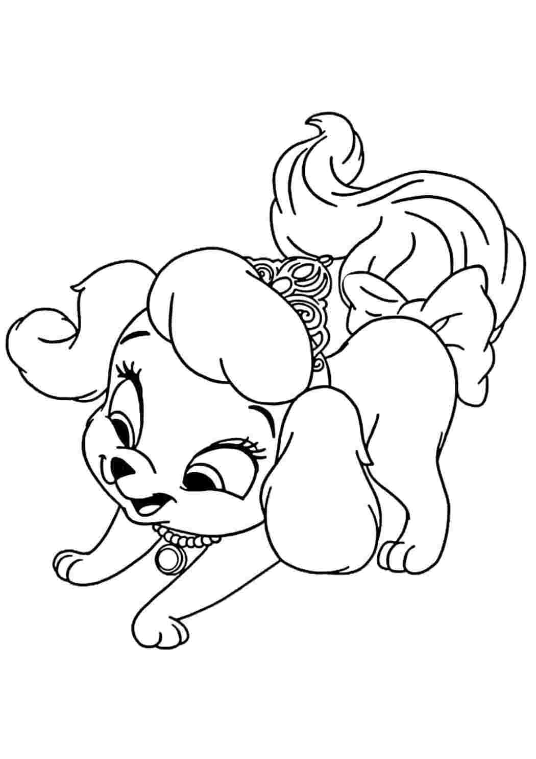 Раскраска Гарні розмальовки У песика дуже гарна тіара