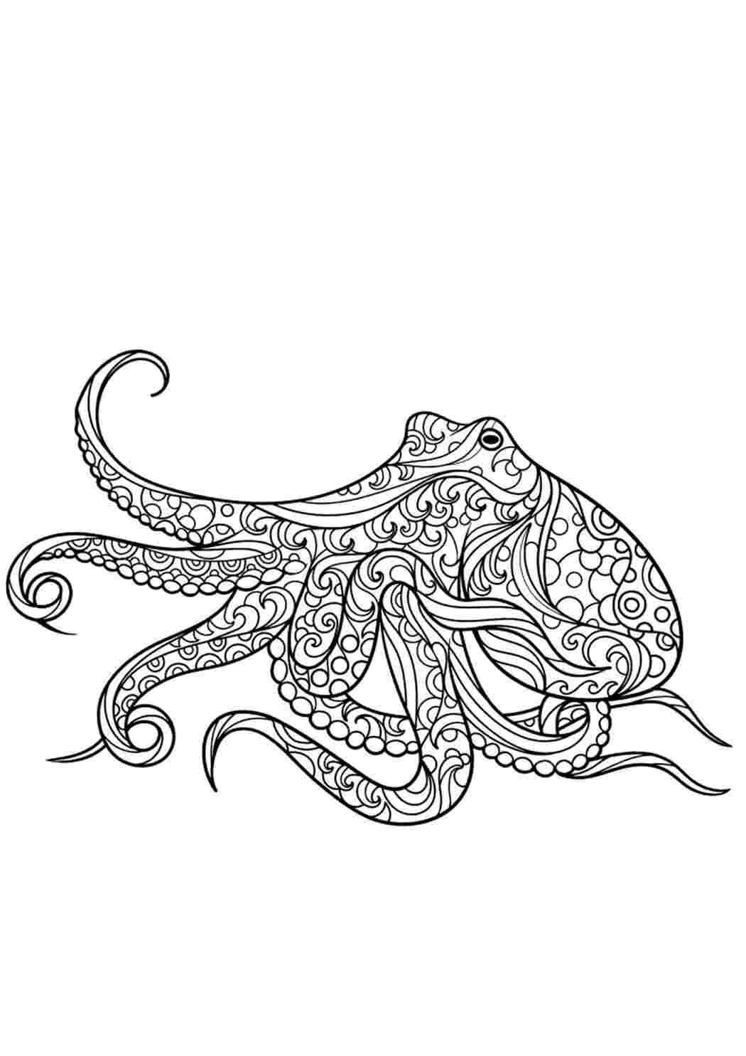 Раскраска Гарні розмальовки Метелик яблука та інша природа антистрес