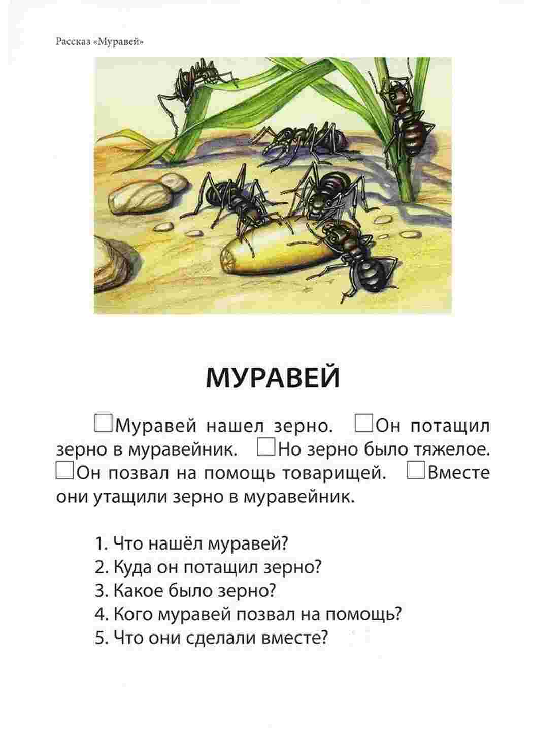 Раскраска Завдання на формування зв язної мови Тексти для читання з питаннями