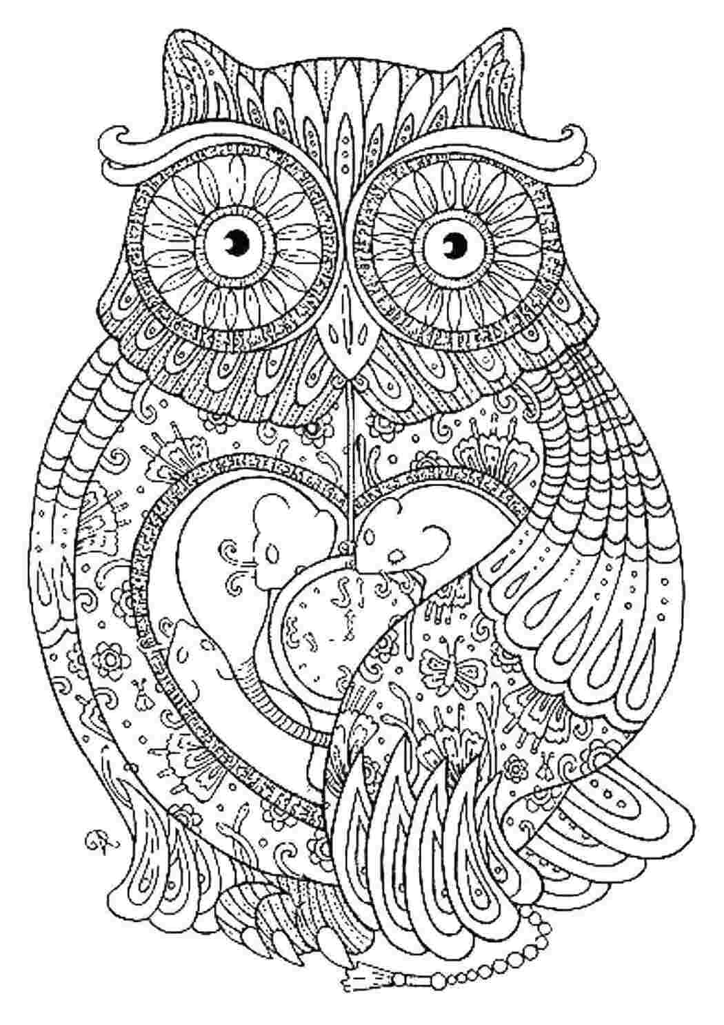 Раскраска Сова