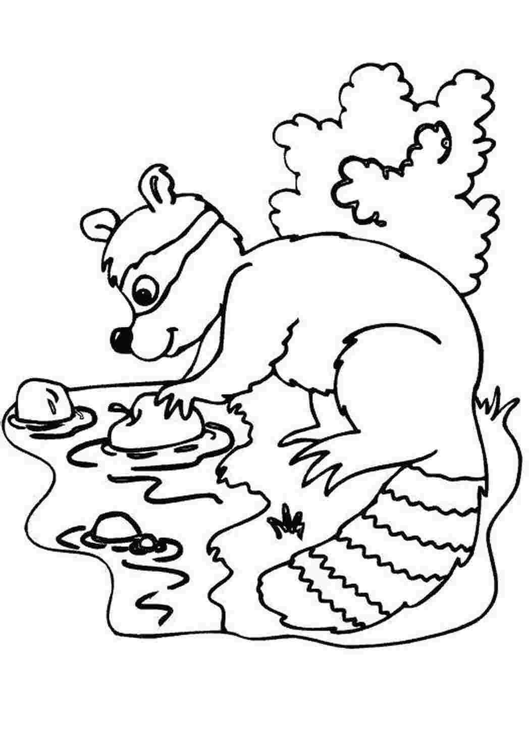 Раскраска бі лок миє яблуко