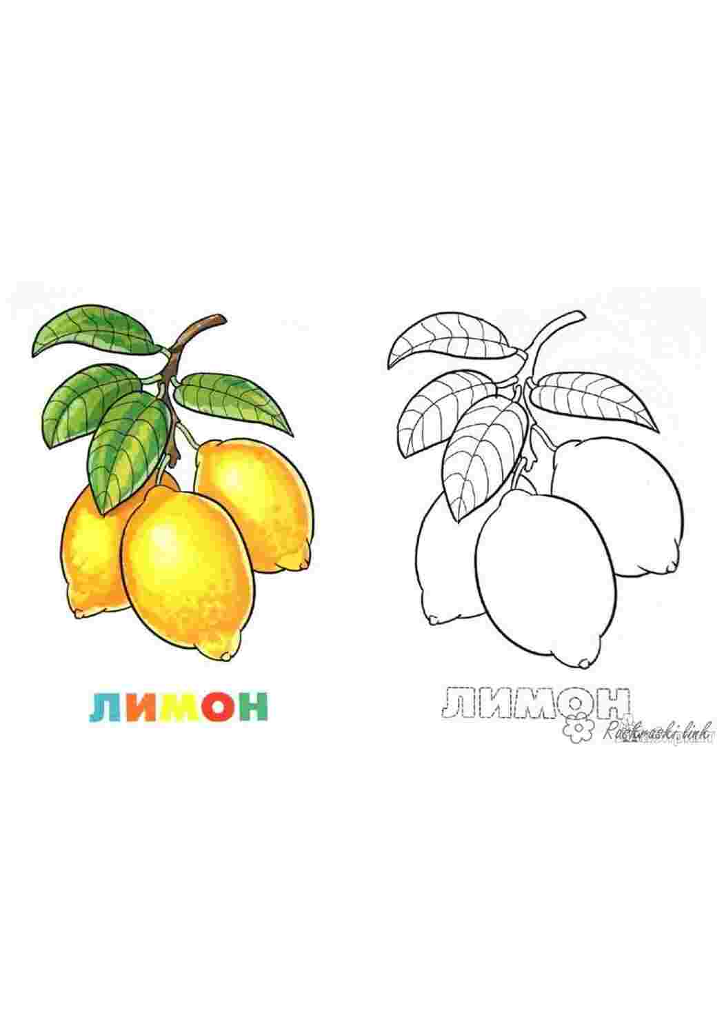 Раскраска Спелий жовтий лимон кислий малюнок