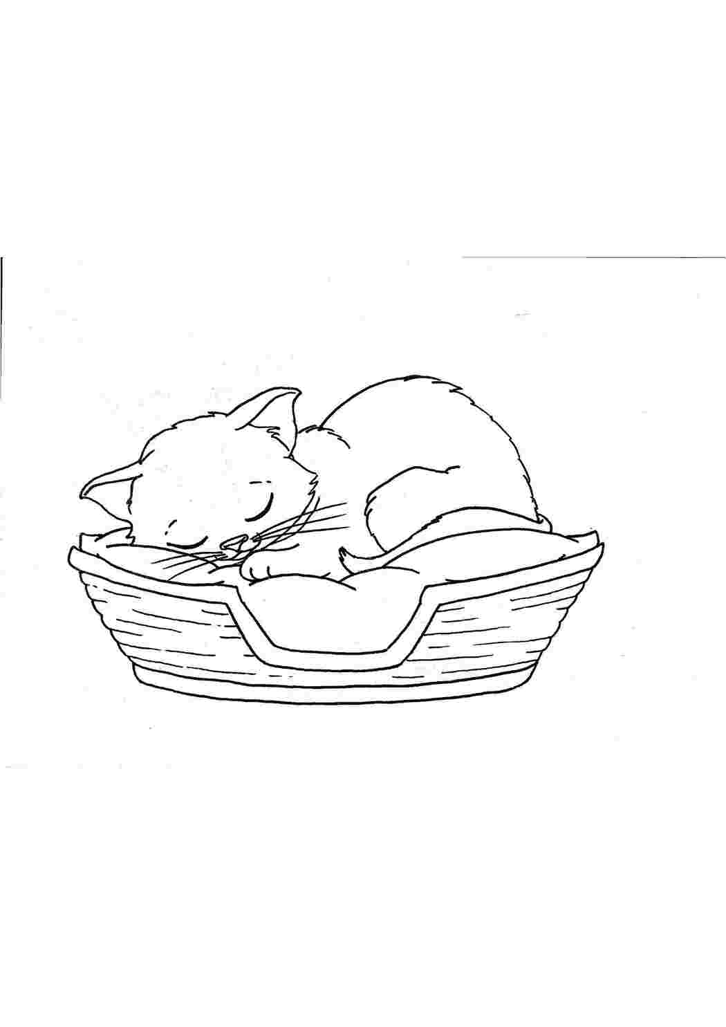 Раскраска Кошеня спить