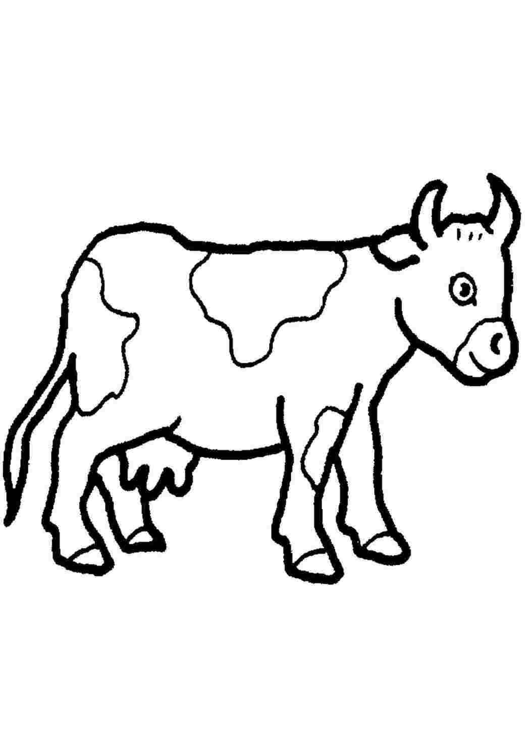 Раскраска Корова