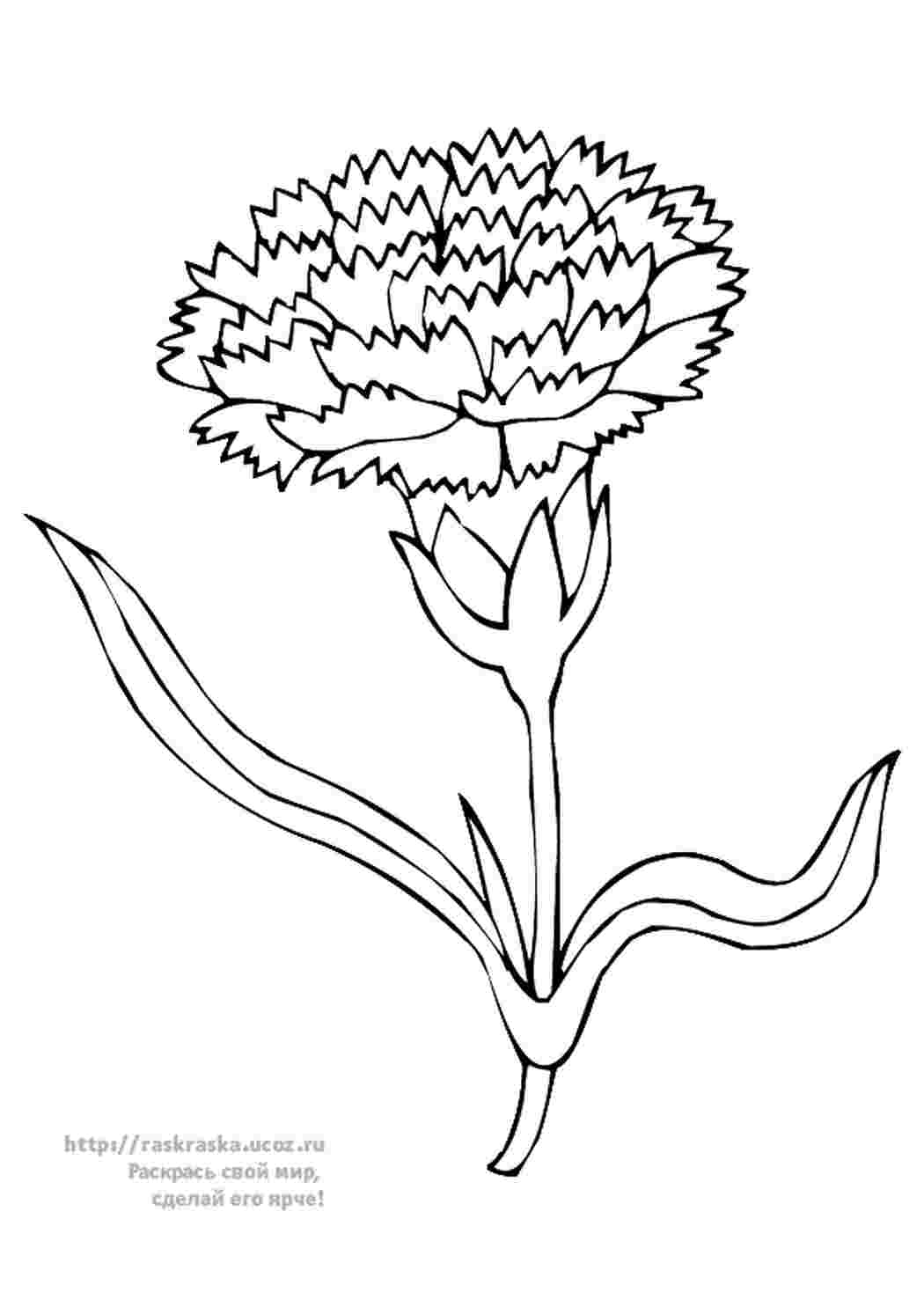 Раскраска 