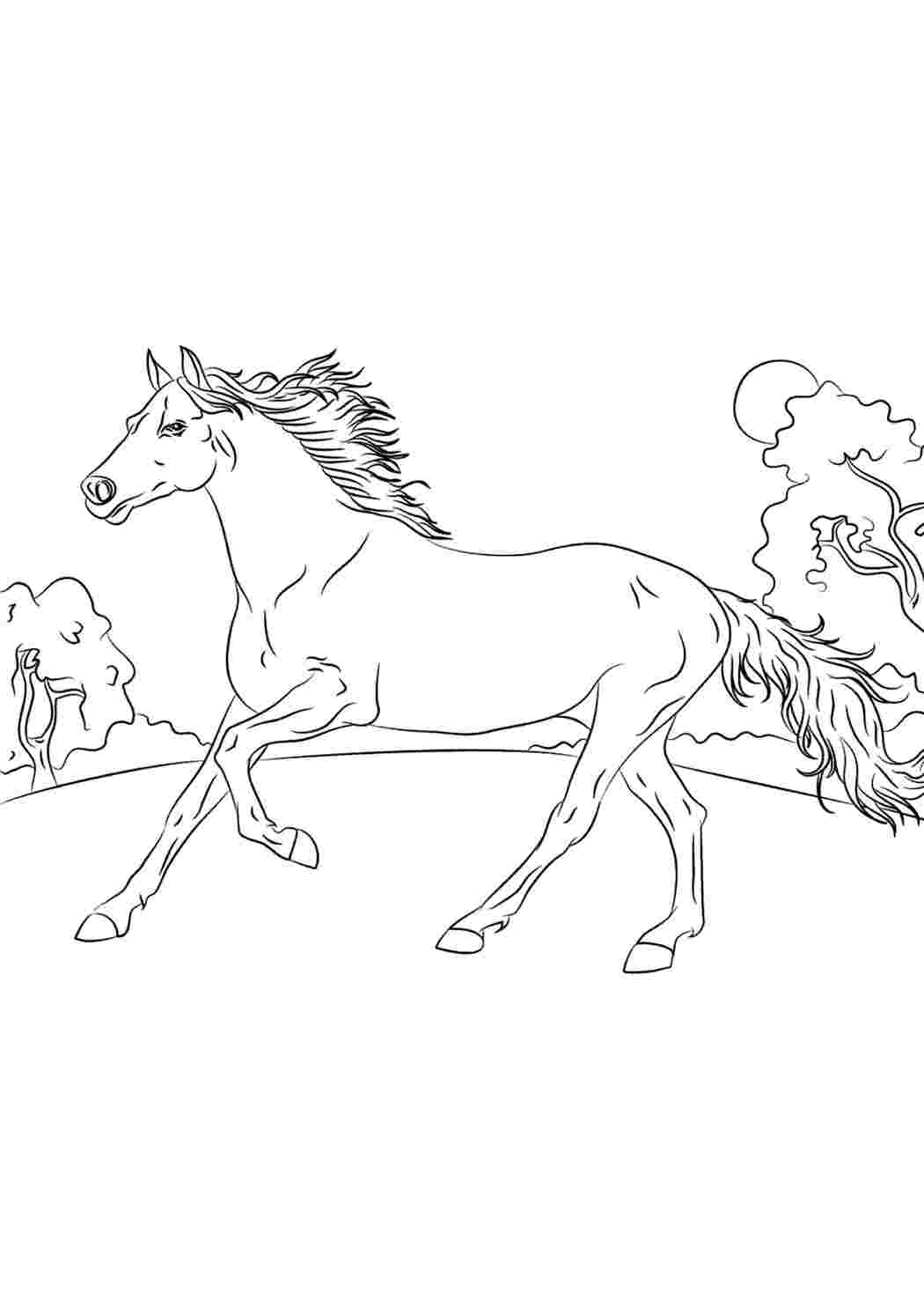 Раскраска Гарні розмальовки Стрибучий кінь