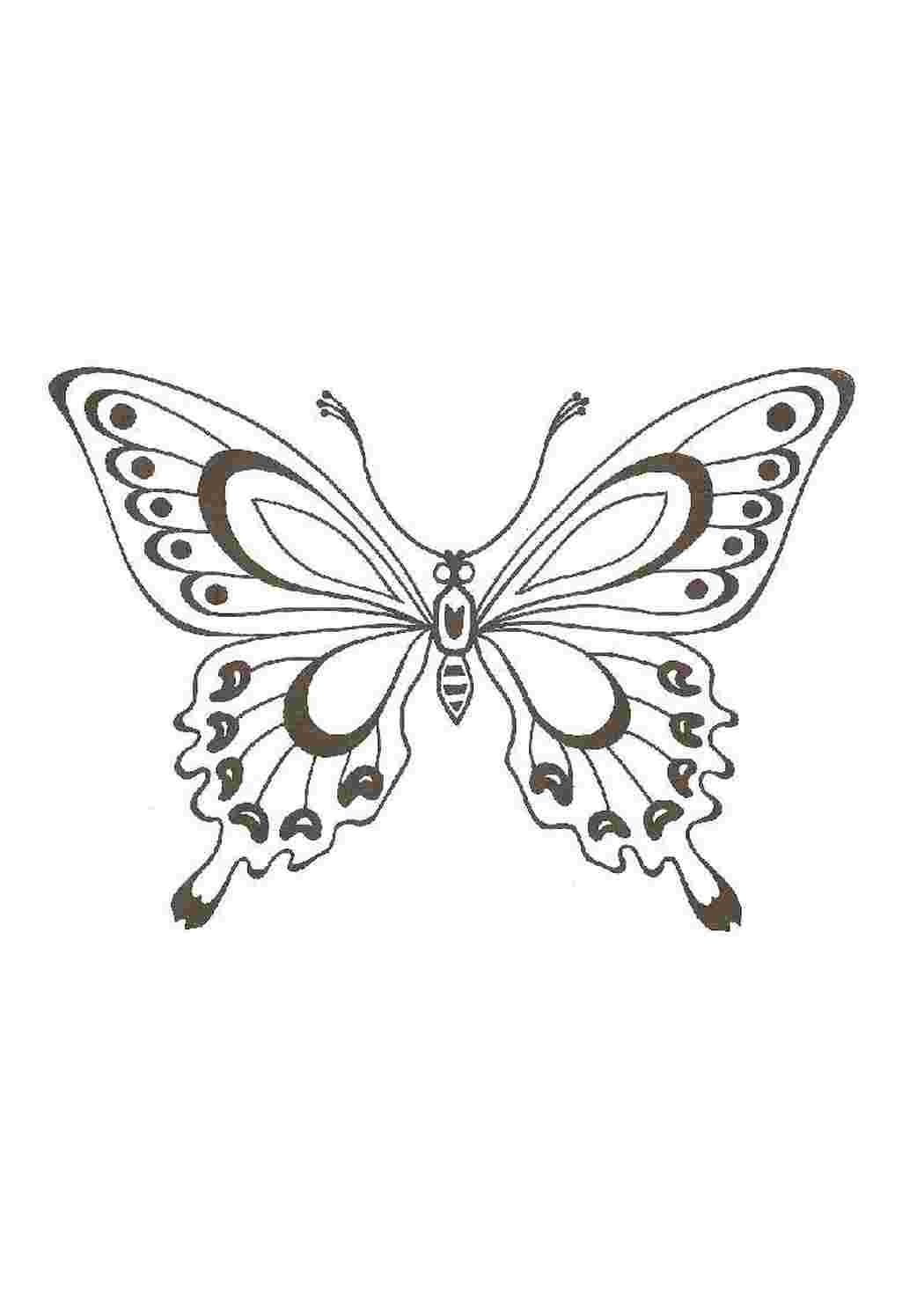 Раскраска Гарний метелик