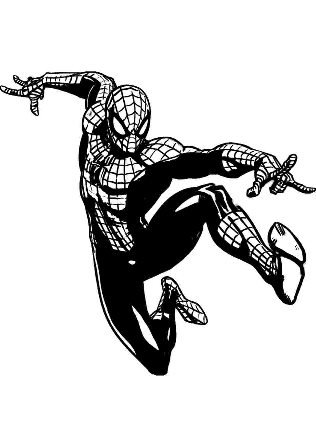 Раскраска Гарні розмальовки Людина павук