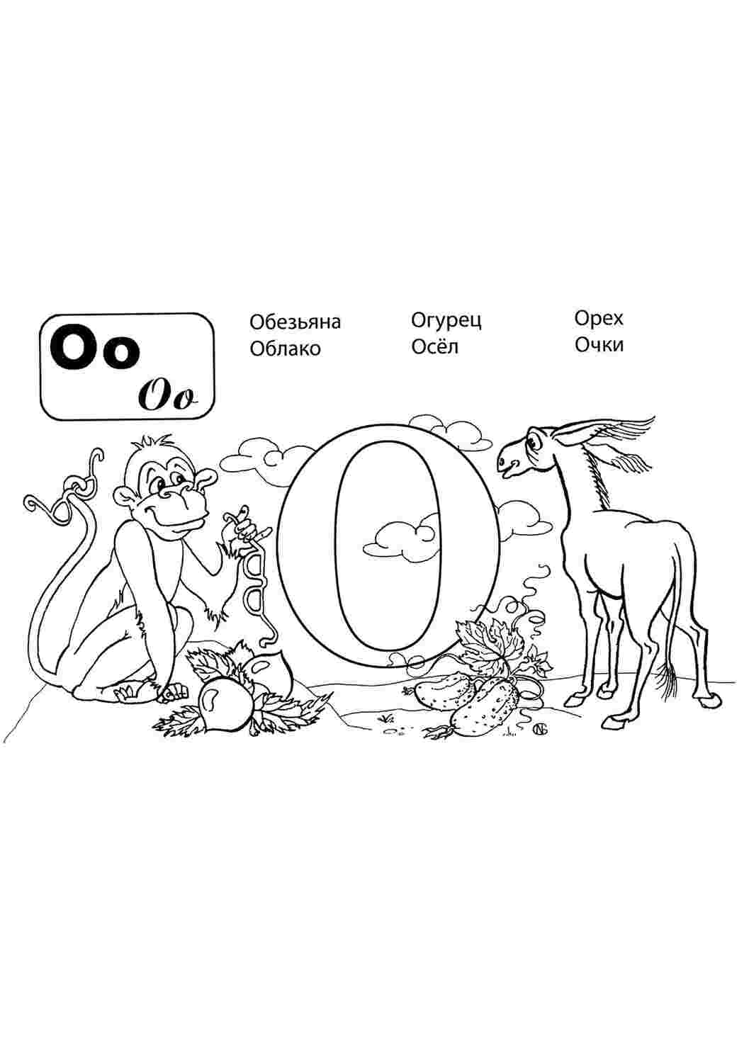 Раскраска О мавпа осел