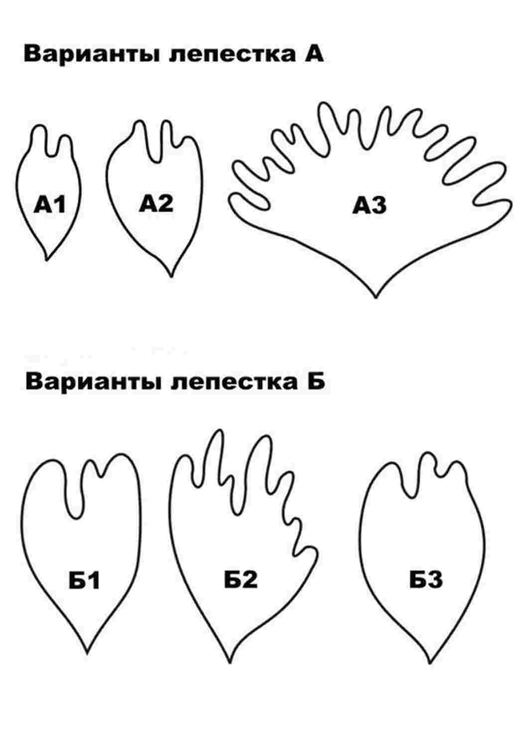 Раскраска Пелюстки піонів для вирізання
