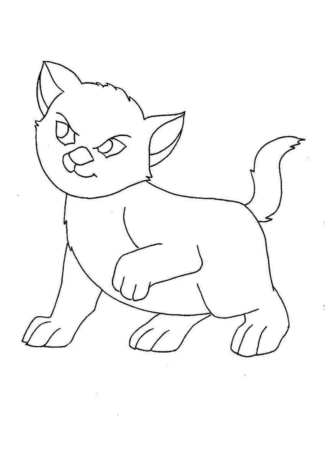 Раскраска Кошеня злий