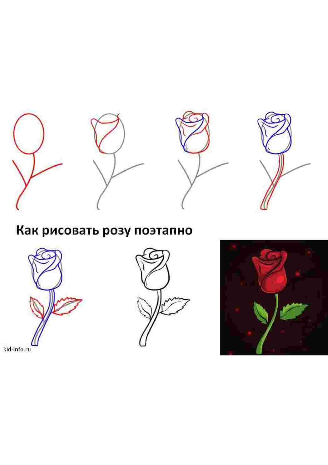Раскраска Як намалювати троянду крок за кроком